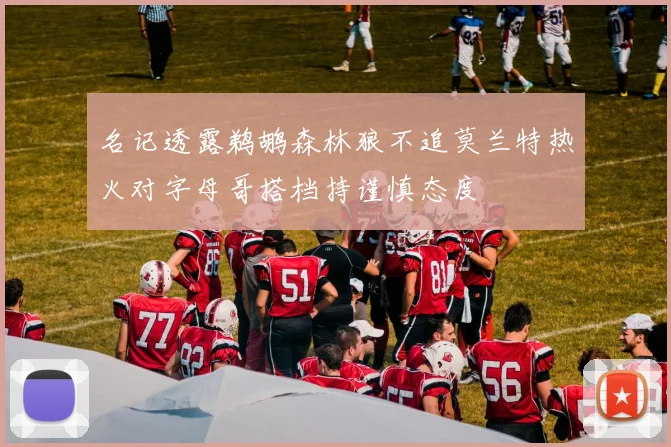 名记透露鹈鹕森林狼不追莫兰特热火对字母哥搭档持谨慎态度