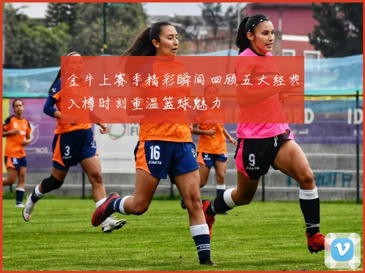 金牛上赛季精彩瞬间回顾五大经典入樽时刻重温篮球魅力